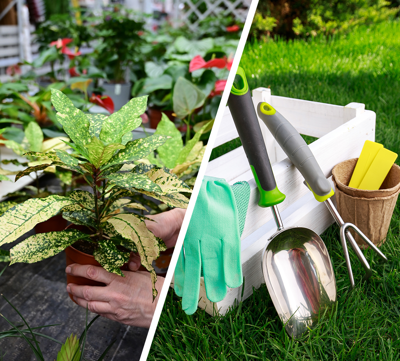 Peyzaj ve Bitkisel Materyal Sourcing